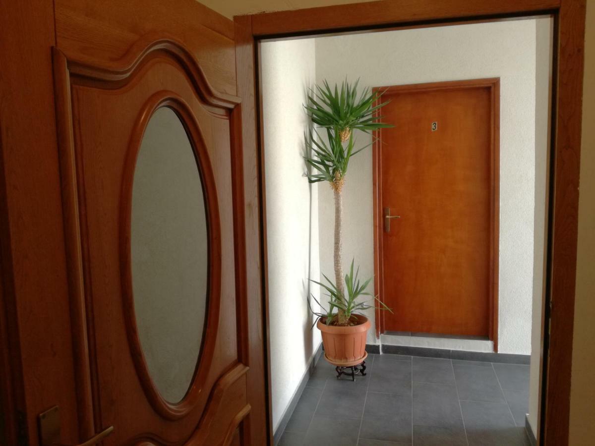 Rooms & Apartments Hegic Zara Esterno foto